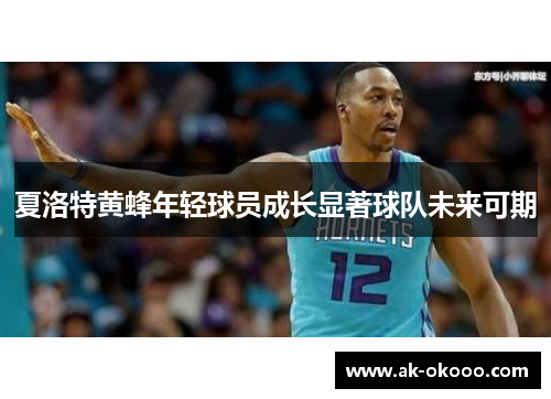 夏洛特黄蜂年轻球员成长显著球队未来可期 夏洛特黄蜂年轻球员成长显著球队未来可期